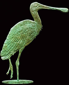 Rosetta Spoonbill Bronze Sculpture